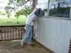 Bee Removal In York, SC