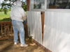 Bee Removal In York, SC