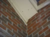 Bee removal in columbia, SC